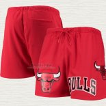 Pantaloncini Chicago Bulls Pro Standard Mesh Capsule Rosso